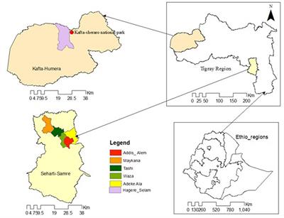 Outbreak investigation of foot-and-mouth disease in cattle in Tigray region, Northern Ethiopia